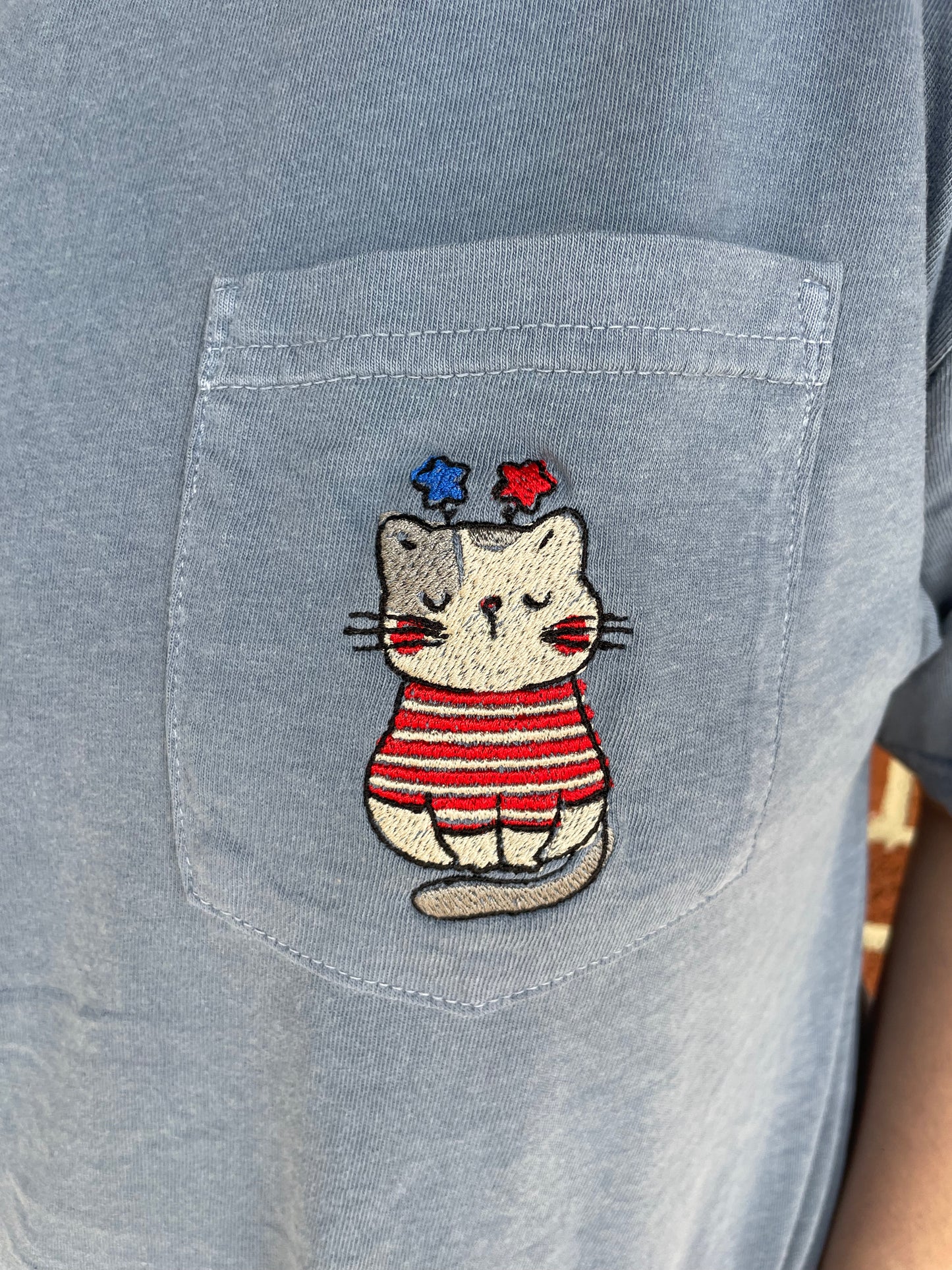 Embroidered Patriotic Cat Tee